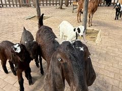 -水上乐园·欢乐世界