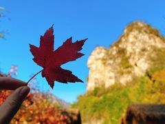 -孤山寨风景区