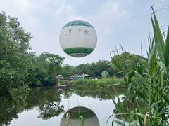 -西溪国家湿地公园