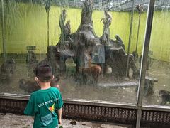 -荆州中山公园动物园