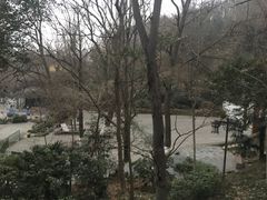-伯先公园