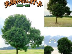 -山明水秀大饭店