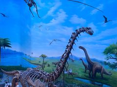 -辽宁古生物博物馆