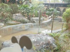 -熊猫自助餐厅.萌趣城堡(长隆熊猫酒店)