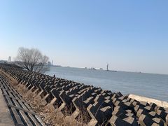 -上海滨江森林公园