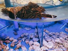 -小螺号海鲜·地道鲁菜(泉城广场店)