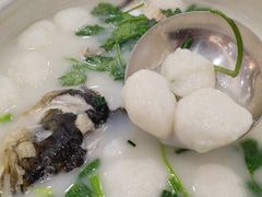 天目湖砂锅鱼头-紫藤园·天目湖大鱼头(南山竹海店)