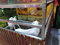 -上海大自然野生昆虫馆(东方明珠·爬宠昆虫探索中心)