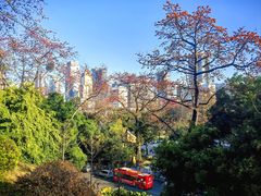 -广州中山纪念堂