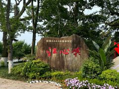 -江心屿景区
