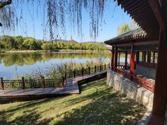 -北坞公园