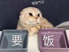 -Diary Club剧本&桌游狼人杀(湖东店)