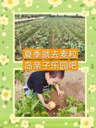 -麦粒鸟亲子游