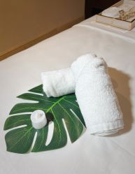 -尊尚柏丽美容SPA