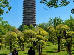 -西海子公园