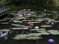 -云溪植物园