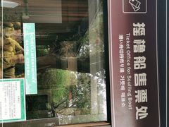 -摇橹船上船码头