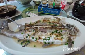White Knife Fish