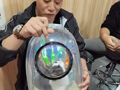 -1013 PET SHOP 宠物商店(近铁城市广场店)