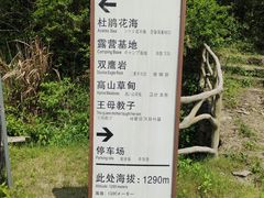 -大围山国家森林公园