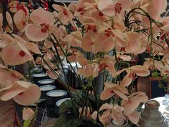 -八府香鸭·啫啫煲(华山路店)