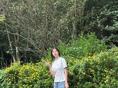 -莲花山公园