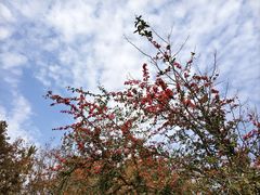 -白帝城·瞿塘峡景区