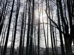 -东湖听涛景区
