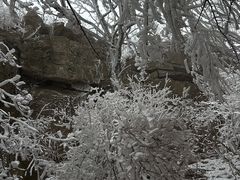 -崂山巨峰游览区
