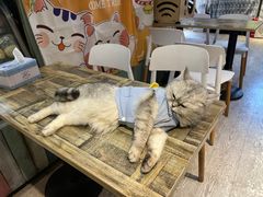 -小时光咖啡馆(北锣鼓巷店)