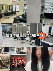 -蚂蚁造型俱乐部