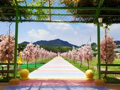 -盈香心动乐园