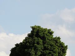 -红花山公园