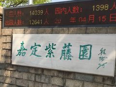 -嘉定紫藤园