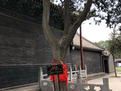 -关林