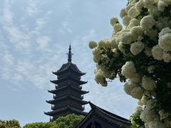 -常熟方塔园