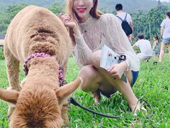 -呀诺达热带雨林