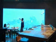 -海棠湾洲际-涛·海底餐厅·美人鱼·自助餐·海底隧道