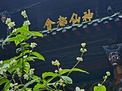 -青城山