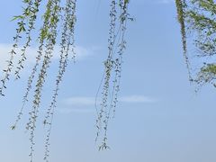 -西湖游船
