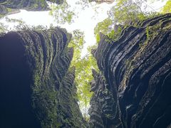 -梭布垭石林景区