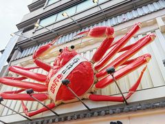 -蟹道乐(道顿堀本店)