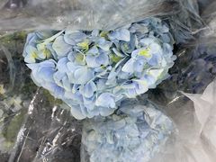 -循礼门鲜花花市(武汉循礼门店)