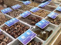 水产区-双井轩(双井店)