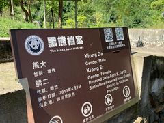 -都江堰中华大熊猫苑