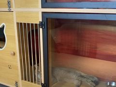 -御宝贝·A梦猫科宠物医院(国际猫友好医院)