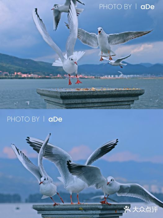 海埂大坝图片