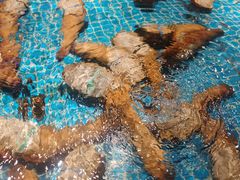 -驻海渔市(置信店)