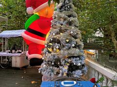 -弦月窗LUNETTE BY AMANDA(复兴路店)