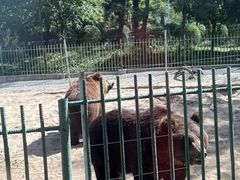 -秦皇岛野生动物园